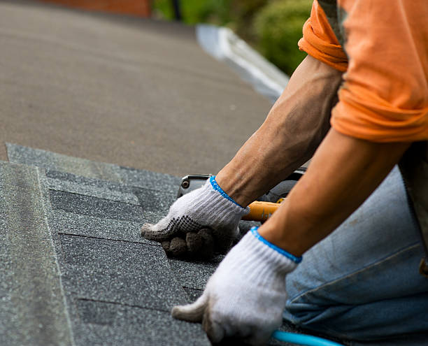 Best Metal Roofing Contractor  in Anderson, IN
