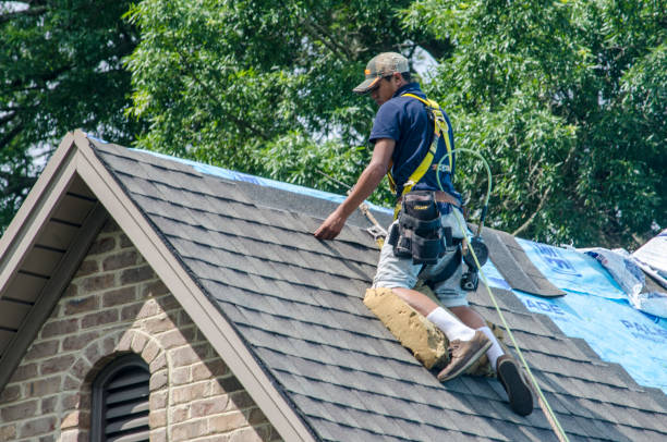Best Roof Restoration Services  in Anderson, IN